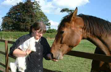 horse